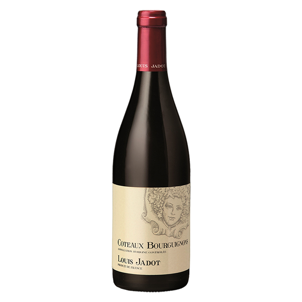 ワイン Louis Jadot Bourgogne 2005 750ml Louis Jadot Coteaux Bourguignons Rouge | Wines Wholesales