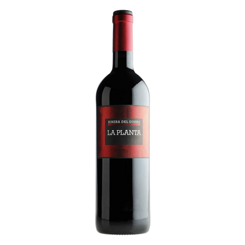 Arzuaga La Planta Arzuaga La Planta