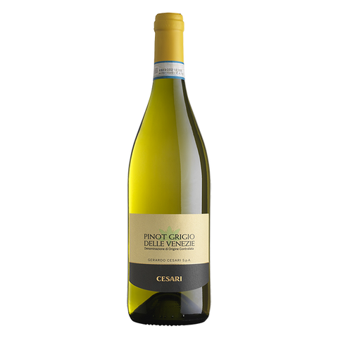 Cesari Pinot Grigio Fiorile delle Venezie IGT Cesari Pinot Grigio Fiorile delle Venezie IGT