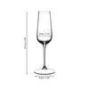Riedel Grape@Riedel Champagne Flute (Set of 2 glasses)