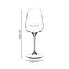 Riedel Grape@Riedel White Wine / Champagne Glass / Spritz Drinks (Set of 2 glasses)